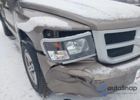 2009 Dodge Dakota Bighorn/Lonestar из США, поврежденный, VIN 1D7HE32K09S807520